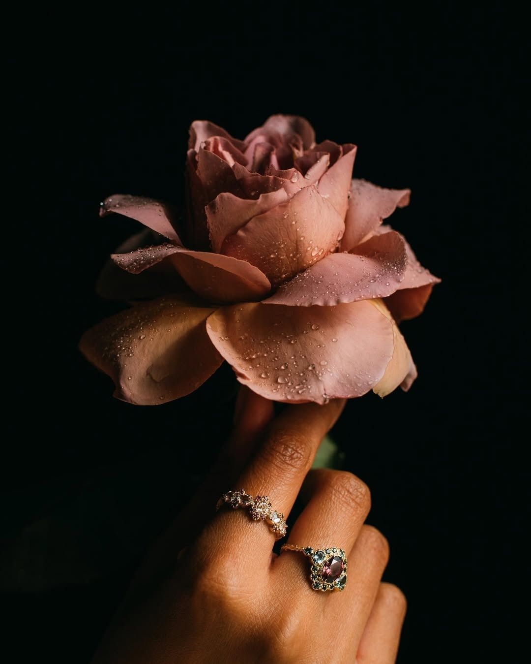 A hand wears gold engagement rings and holds a pink rose