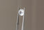 1.27 Carat Natural White Opalescent Round Sapphire