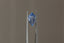 A 2.03 carat medium periwinkle blue shield cut sapphire