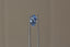 A periwinkle blue shield cut sapphire with light blue zoning