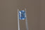 A glowing, faintly opalescent shade of light to medium blue emerald cut sapphire. This Sri Lankan sapphire is available for purchase alongside an heirloom setting at The North Way Studio. The sapphire is shown held up by tweezers.