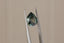 A natural pear cut blue green sapphire available to add as a center stone for your heirloom setting at The North Way Studio. A mesmerizing sapphire pool of greens and blues. The stone is shown held up by tweezers.