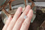 A natural oval opalescent pale blue sapphire available to add as a center stone for your heirloom ring setting at The North Way Studio. Silken pale blue, so faint it's nearly white, churns with peaches and sunlit hues. The sapphire is shown resting on a woman's hand for size reference.