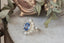 An antique inspired flower engagement ring with a large blue sapphire and natural diamond halo in 18 karat white gold with hand-carved leaves and bark texture. A ready to ship ring crafted by The North Way Studio in collaboration with Claire Pettibone.