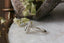 This heirloom engagement ring setting crafted by The North Way Studio features a shield halo of diamonds, engraved walls, and hand-carved leaves all strewn about a unique center stone of choice. This fantasy antique inspired engagement ring is shown in 14 karat white gold with a natural pale gray spinel center stone facing the viewer's left.