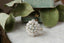 An antique inspired flower diamond halo engagement ring. This fairy garden engagement ring features a large natural gray diamond center with a diamond halo and hand-carved leaf and bark texture in 18 karat white gold. Ready to ship engagement ring crafted by The North Way Studio in collaboration with Claire Pettibone.