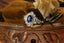 This custom fantasy engagement ring setting crafted by The North Way Studio features unfurling rustic leaves of hand-carved gold, rustling below a halo of natural white rose cut diamonds strewn about a uniquely chosen center stone. This variation of the ring is cast in 14 karat white gold with a deep blue oval sapphire center stone and shown resting on the edge of an antique wooden jewelry box.