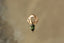 A small gold charm with natural green tourmaline and hand-carved leaf details by The North Way Studio.