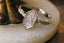 A three stone diamond everyday fantasy ring with engraved unicorn and trees on a reclaimed 14 karat gold shield.