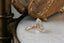 A close side view of a yellow gold ring held between dusty fingertips. Fern fronds and tiny stars are carved across the setting, and a twisting, leafy stem runs down the shank.