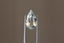 An ethereal blend of pale yellow and soft silvery blue hues in a modified pear cut sapphire.  This 2.59 carats Sri Lankan sapphire is available for purchase alongside an heirloom setting at The North Way Studio. The sapphire is shown held up by tweezers.