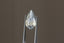 An ethereal blend of pale yellow and soft silvery blue hues in a modified pear cut sapphire.  This 2.59 carats Sri Lankan sapphire is available for purchase alongside an heirloom setting at The North Way Studio. The sapphire is shown held up by tweezers.