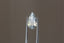 An ethereal blend of pale yellow and soft silvery blue hues in a modified pear cut sapphire.  This 2.59 carats Sri Lankan sapphire is available for purchase alongside an heirloom setting at The North Way Studio. The sapphire is shown held up by tweezers.