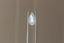 A large pear sapphire in silky pale dusky blue with hints of peach opalescence