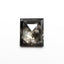 1.00ct 7.09x6.01x2.16mm Rectangle Rosecut 27545-05