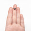 1.57ct 10.93x6.52x2.99mm Shield Rosecut 27545-07