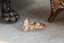 The Mariposa Heirloom Setting - Engraved Solitaire Engagement Ring Setting