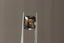 4.04 Carat Natural Radiant Multi-Colored Brown Green Cushion Cut Sapphire