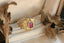 The Ether Gate ring by The North Way Studio in natural 1.05 carat ruby and reclaimed 18 karat yellow gold. 