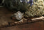 This heirloom setting crafted by The North Way Studio features leaves carved in reclaimed gold, a halo of natural brilliant cut round diamonds, and two round natural diamond side stones strewn about a unique center stone. This custom engagement ring is shown in 14 karat white gold with a pear-shaped diamond center sitting on a weathered wood surface with dried florals.