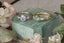 Two variations of this heirloom engagement ring setting designed by The North Way Studio in collaboration with Claire Pettibone are shown cast in reclaimed golds and featuring a lavender sapphire and teal green sapphire. The rings are resting next to each other on the top of a ring box surrounded by florals.