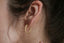 Elven gold hoop earrings with leaves. 