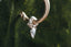 A small gold charm with lab grown pear diamond and hand-carved leaf details. Shown in white gold hanging on The Fae Hoop earring.