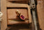 A natural oval ruby Hag Stone pendant in reclaimed 14 karat yellow gold by The North Way Studio. 