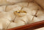 The Spire Signet in reclaimed 18 karat yellow gold and natural marquise cut Canadian diamond center. Set east to west with medieval-inspired leaves.