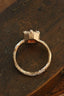A resplendent being of light, the Utopia Heirloom Setting by The North Way Studio. Carved bark band and tapered leaf prongs, with a hidden world of carved vines and leaves on the setting walls. Shown in reclaimed 14 karat yellow gold and garnet. 

Create your own ring by using this listing to customize. 